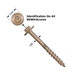 Simpson SDWH Structural Wood Screws Details